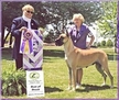 AKC BISS / UKC / INT'L CH. Lagaradas Forever More, ROM, HOF