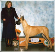 AKC / NAT'L / INT'L CH. Lagarada Sahara Desert Ryder
