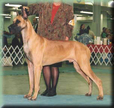 CH. Lagarada's TimberRidge