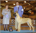 CH. Lagarada Sahara N Hot Pursuit