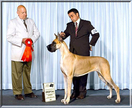 AMERICAN (AKC) CANADIAN CH. Lagarada Sahara La Bolero