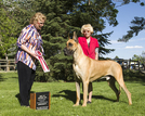 AKC CH. / IABCA BIS CH. / UKC CH. Lagarada's FireStorm