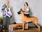 BISS (AKC) CH. Lagarada's XR Spitfire