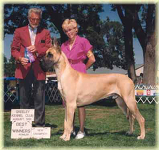 CH. Lagarada's Timberline Gold, ROM