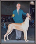 CH. Lagarada's Gold N Splendor, ROM