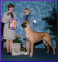 BISS CH. Rocwind Lagarada XXIV Karat Gold, ROM, HOF