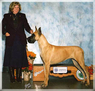 AKC / NAT'L / INT'L CH. Lagarada Sahara Desert Ryder